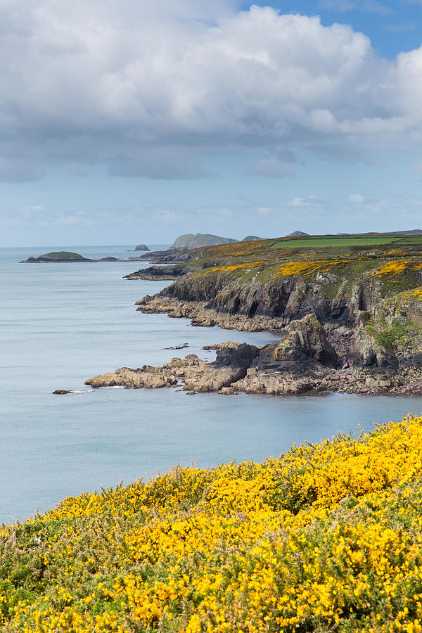 St Brides Bay Pembrokeshire West Wales coast UK Photograph by Charlesy