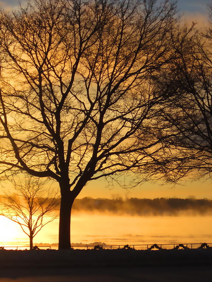 St. Clair Sunrise with Mist Photograph by Mary Bedy