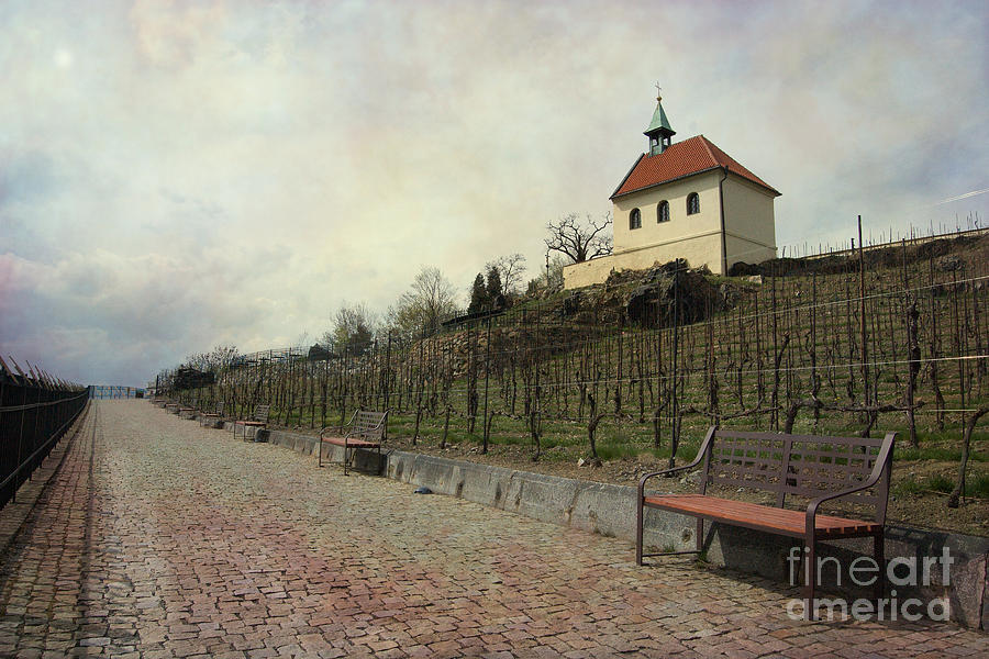 Prague Photograph - St Claires winery by Katerina Vodrazkova