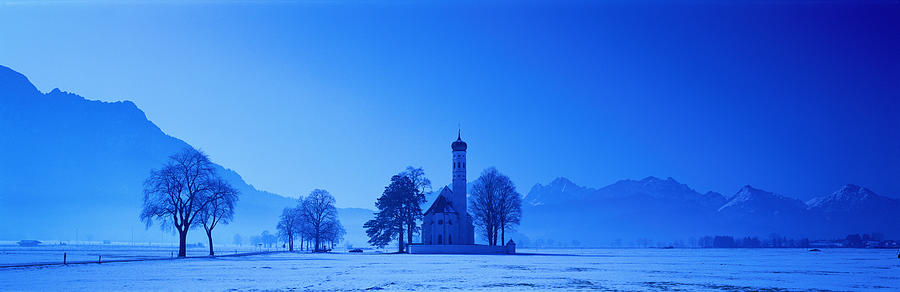 Tree Photograph - St. Coloman Church Schwangau Germany by Panoramic Images