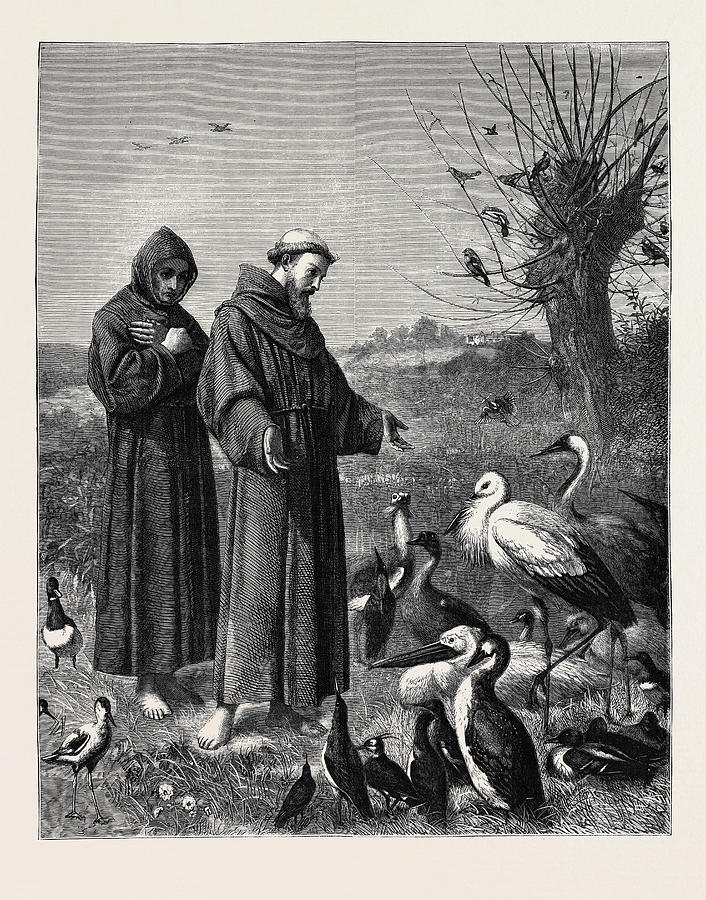 St. Francis Preaches To The Birds Drawing by English School - Fine Art ...