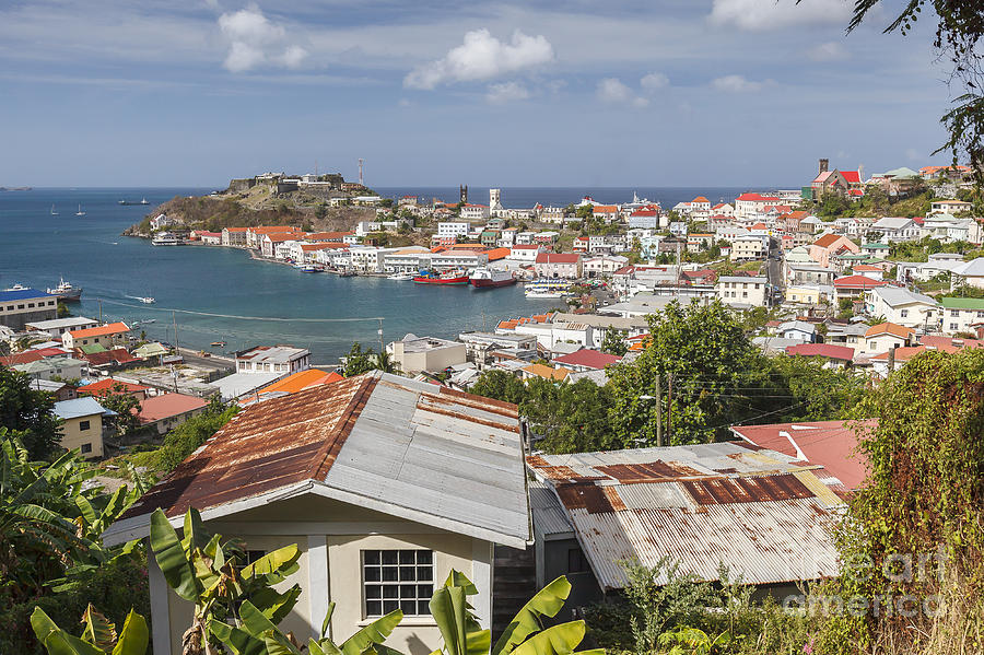 Grenada Photograph - St. George by Scott Kerrigan