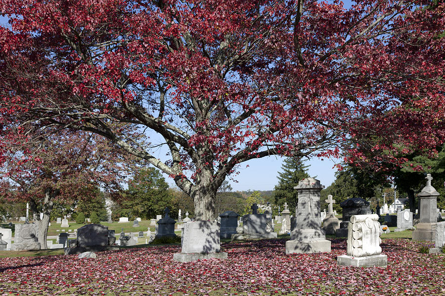 St. John Cemetery in Darien Connecticut Photograph by Carol M Highsmith