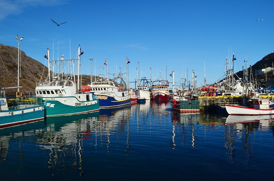 St John's Harbour Photograph by Jim Hart - Fine Art America