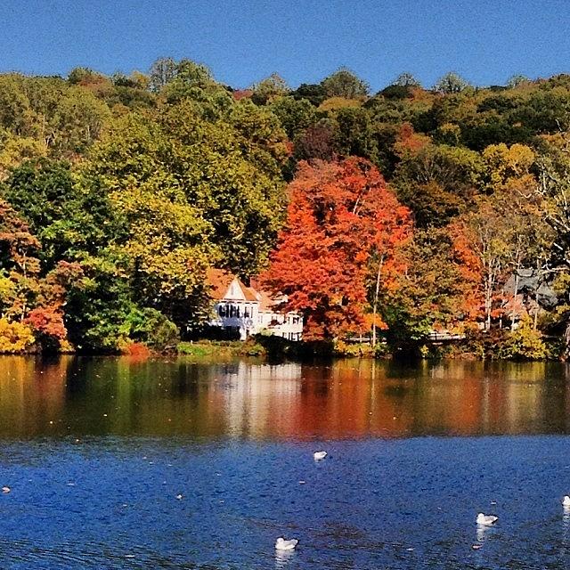 St. John's Pond Cold Spring Harbor Photograph by Lisa Thomas Fine Art