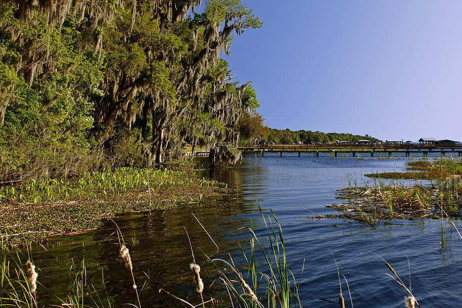 Landscape Photograph - St Johns River Florida by Alexandra Till