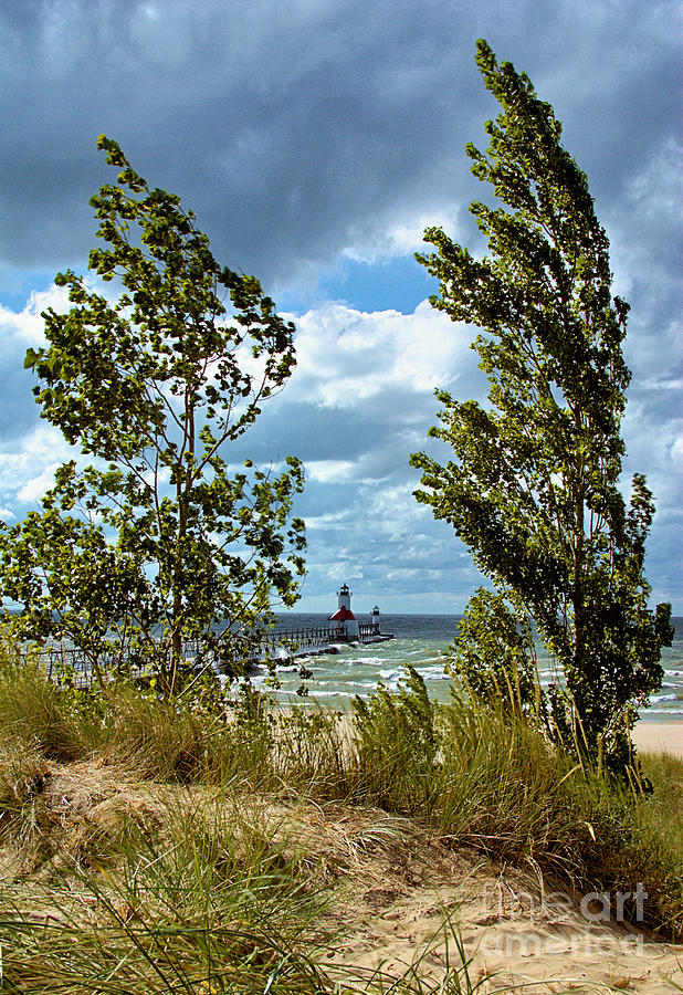 St Joseph Lighthouse Through Trees Photograph by Brett Maniscalco