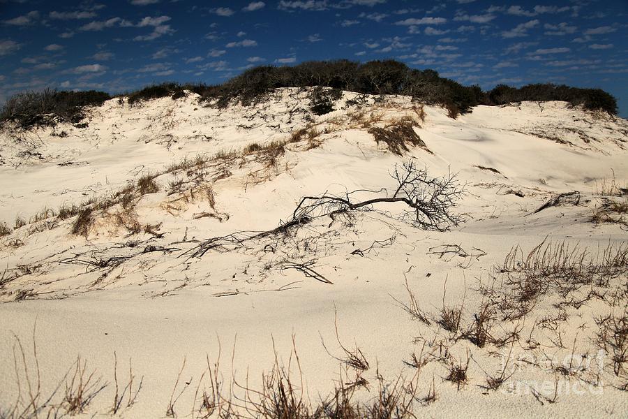 St. Joseph Sand Dunes Photograph by Adam Jewell