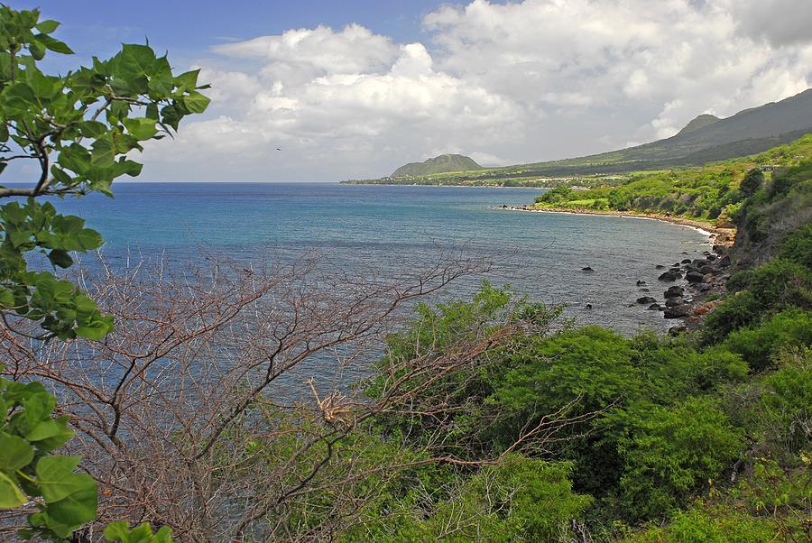 St Kitts Coast And Countryside Photograph by Willie Harper