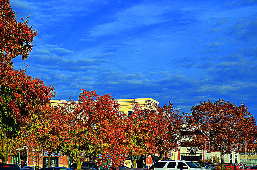 St. Louis -  Blue Sky In Autumn - Luther  Fine Art   Photograph by Luther Fine Art