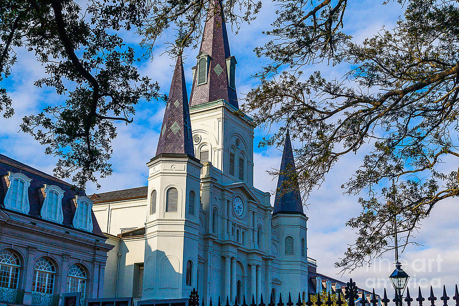 St. Louis Cathedral Through Live Oaks Photograph