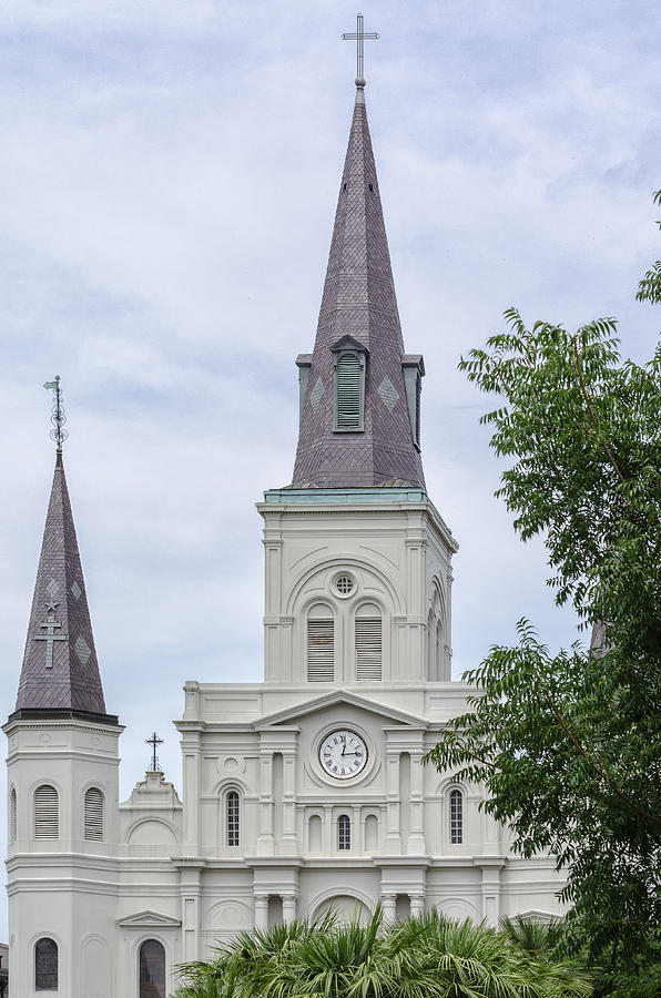 St. Louis Cathedral Through Trees Photograph