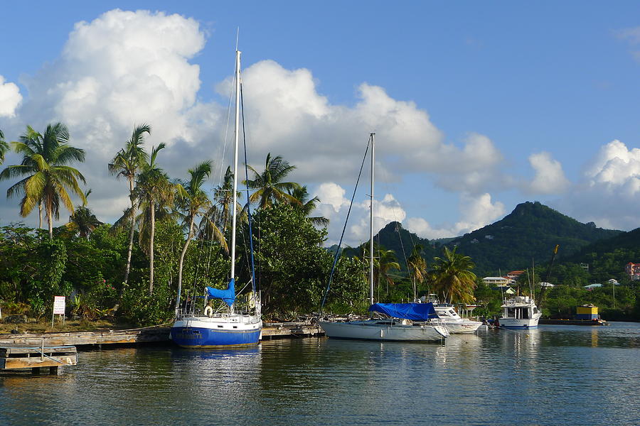 St. Lucia - Cruise - Boats at Dock Photograph by Nora Boghossian