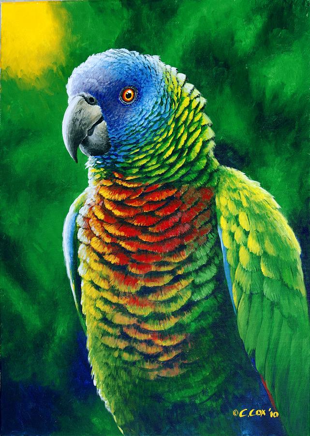 St. Lucia Parrot - Fine Colours Painting by Christopher Cox