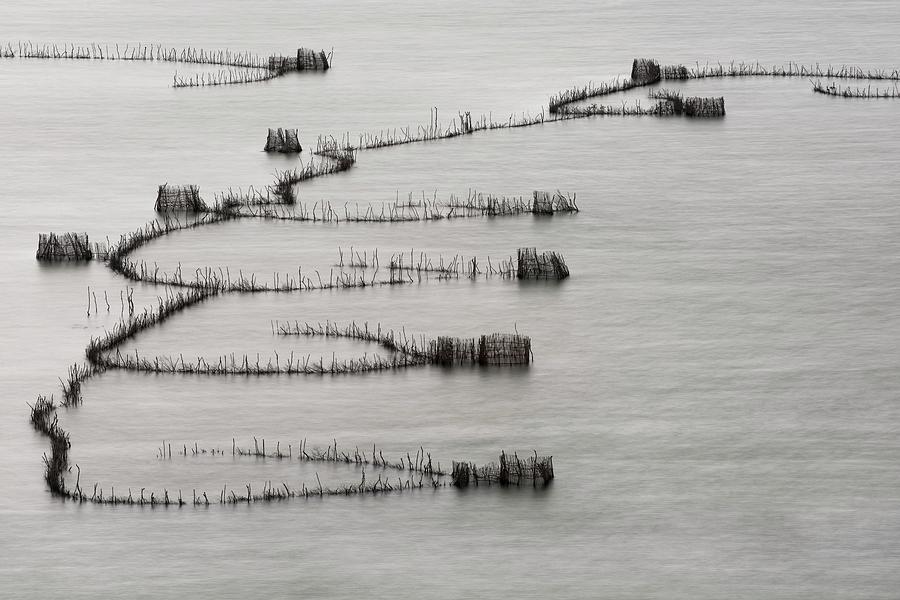 St Lucia Traditional Fishing Traps by Tony Camacho/science Photo