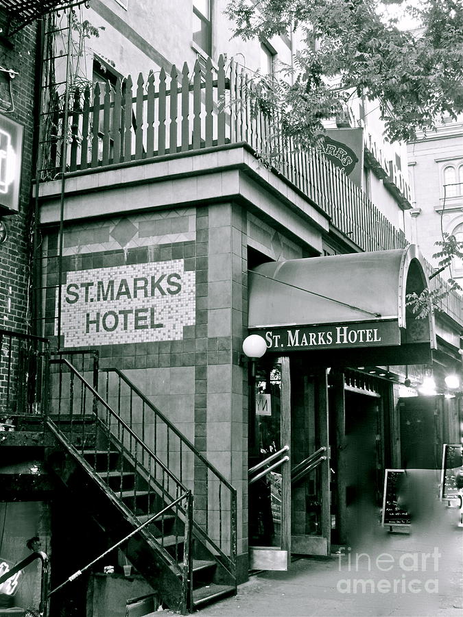 Tree Photograph - St. Marks Hotel by Maritza Melendez