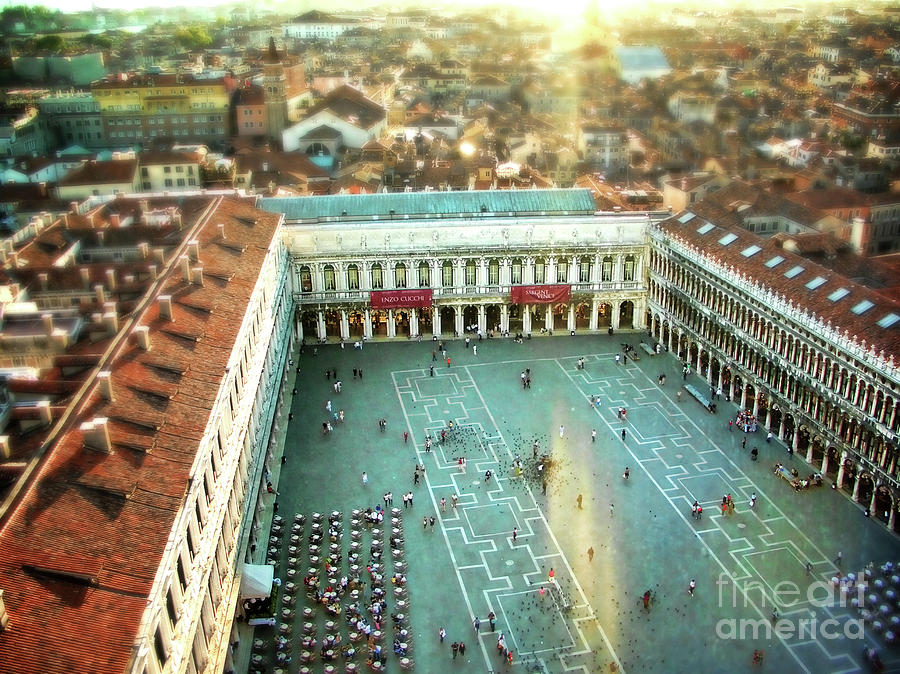 St Marks Square from above Photograph by Sylvia Cook