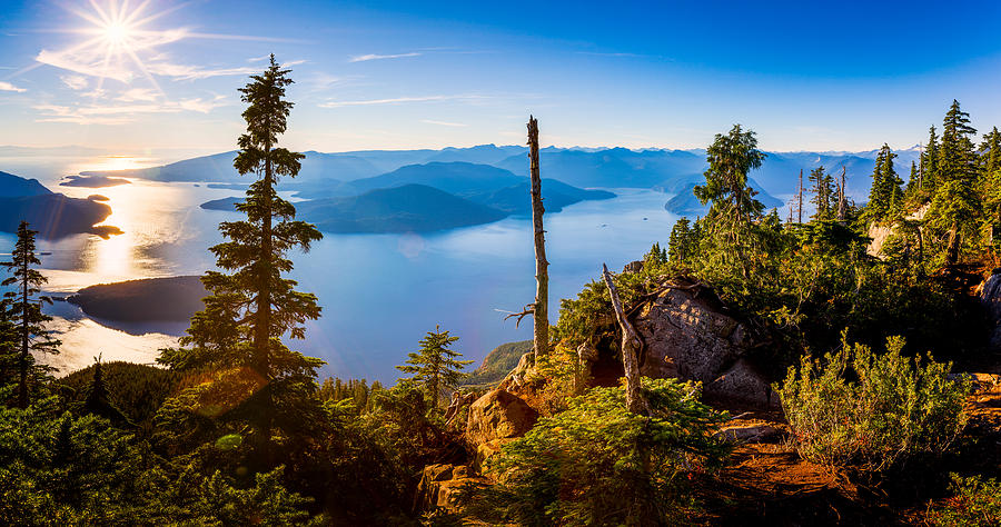 St Marks Summit near Vancouver Photograph by Alexis Birkill