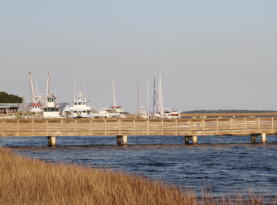 St. Marys Harbor Photograph by Cathy Lindsey