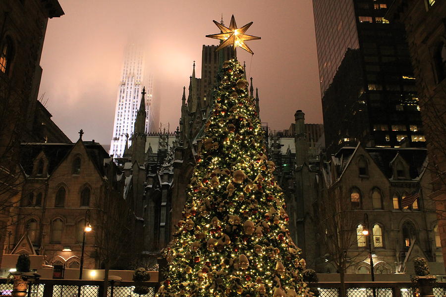 St. Patricks Cathedral behind the Christmas Tree Photograph by Catie Canetti