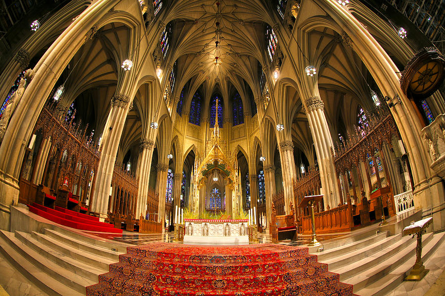 St. Patricks Cathedral Photograph by Mitch Cat
