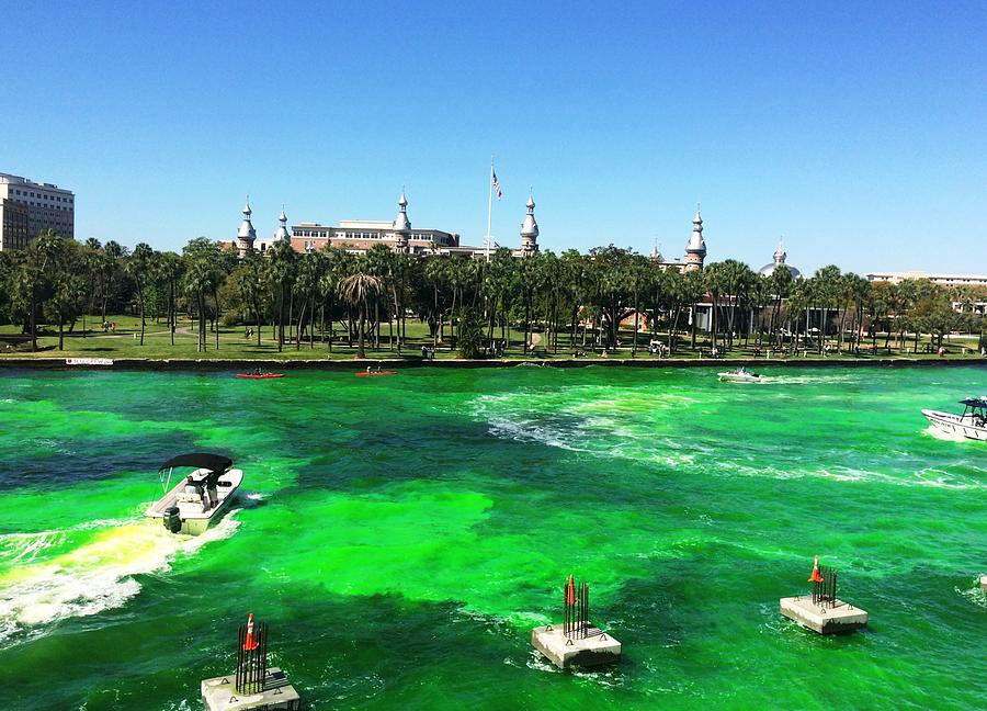 St. Patricks Day in Tampa Photograph by Mark Mitchell