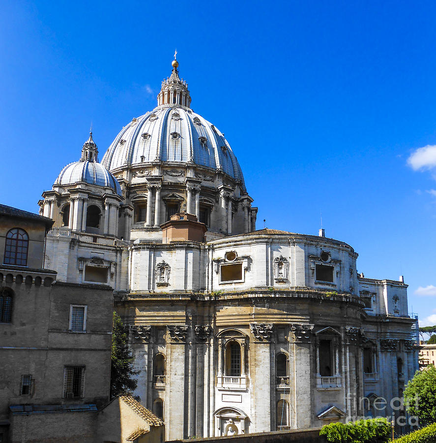 St. Peters Basilica Photograph by Elizabeth M