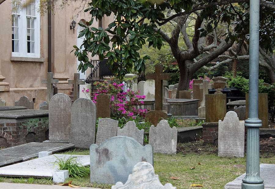 St. Philips Cemetery - French Quarter Charleston Photograph by Suzanne ...