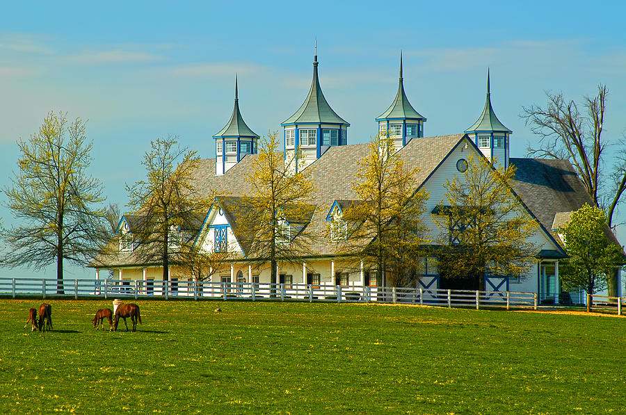 Spring Photograph - Stables for the Kings by Randall Branham