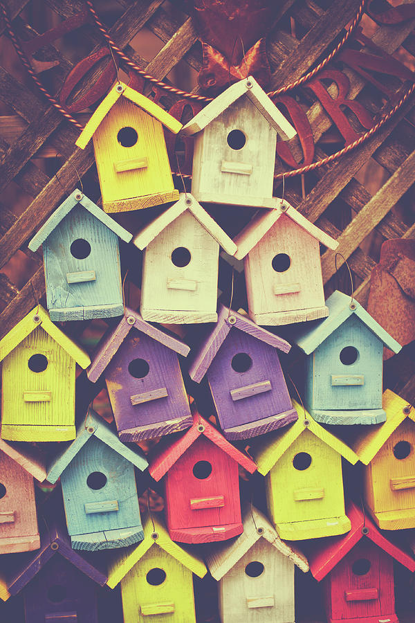 Purple Photograph - Stack Of Birdhouses by Julia Goss
