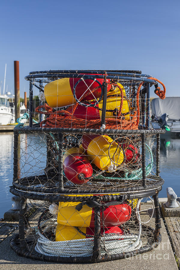 Stack Of Crab Pots Photograph by Bryan Mullennix