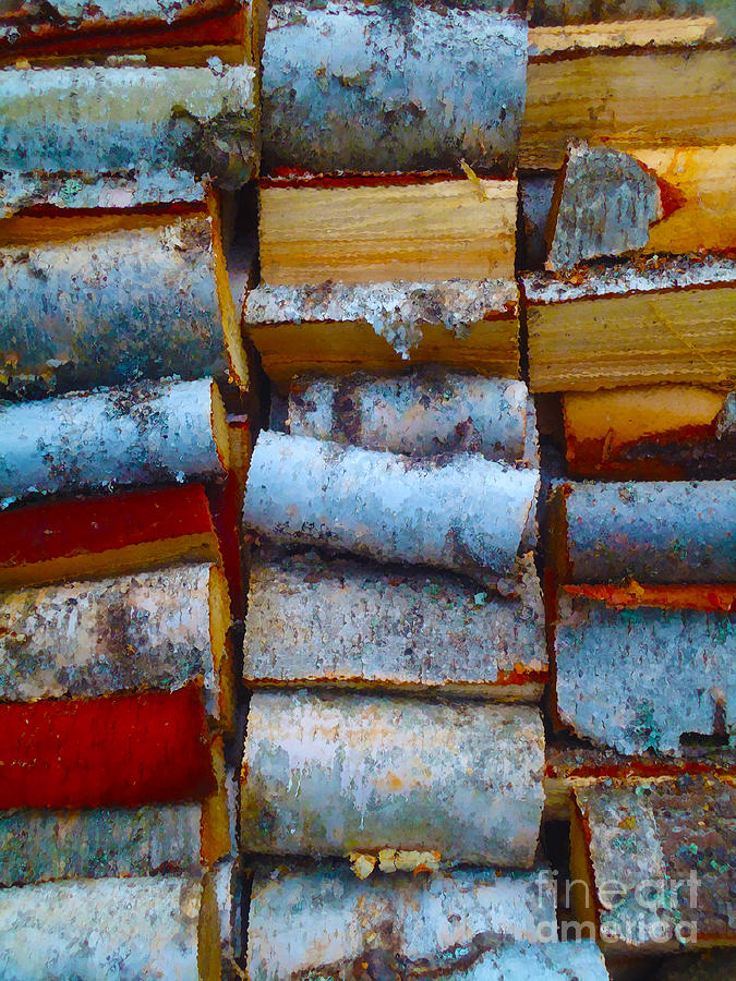 Stacked Photograph by Ann Johndro-Collins