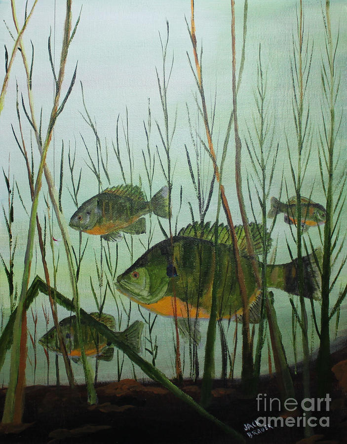 Fish Painting - Stacked Blue Gills by Jack G  Brauer