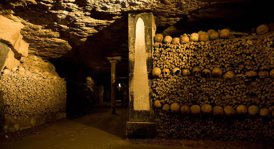 Stacked Bones In Catacombs, Paris Photograph by Panoramic Images
