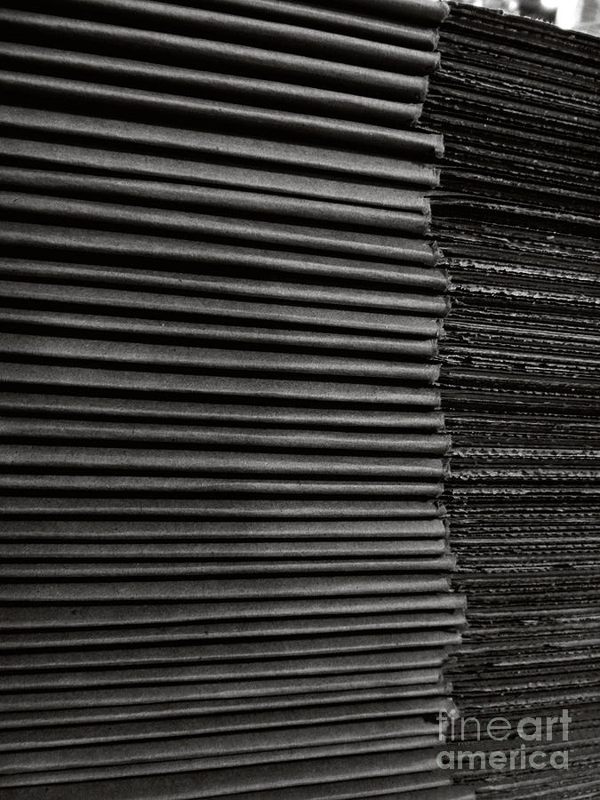 Stacked Euphemistic-Cardboard 2 Photograph by Fei A