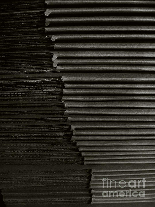 Stacked Euphemistic-Cardboard 5 Photograph by Fei A