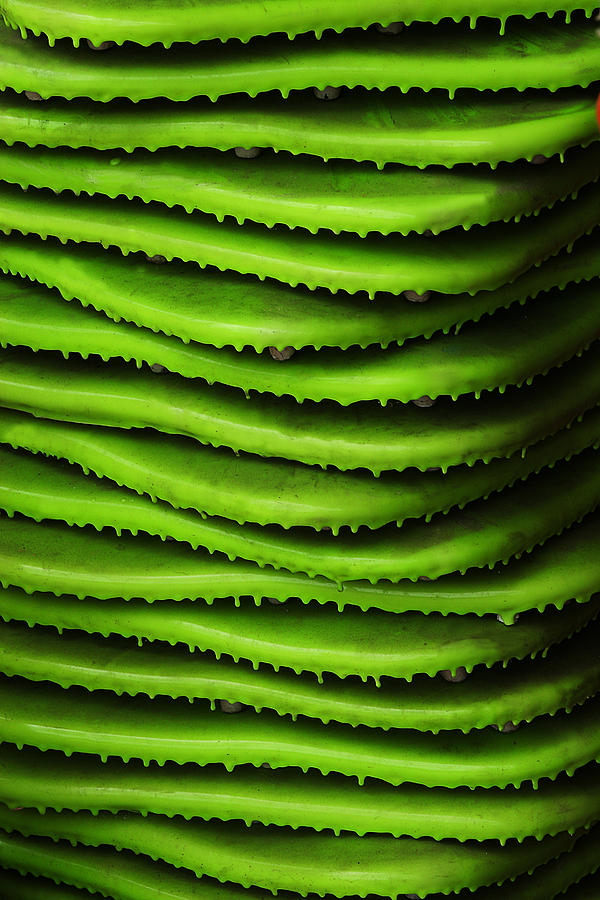Stacked Green Photograph by Robert Woodward