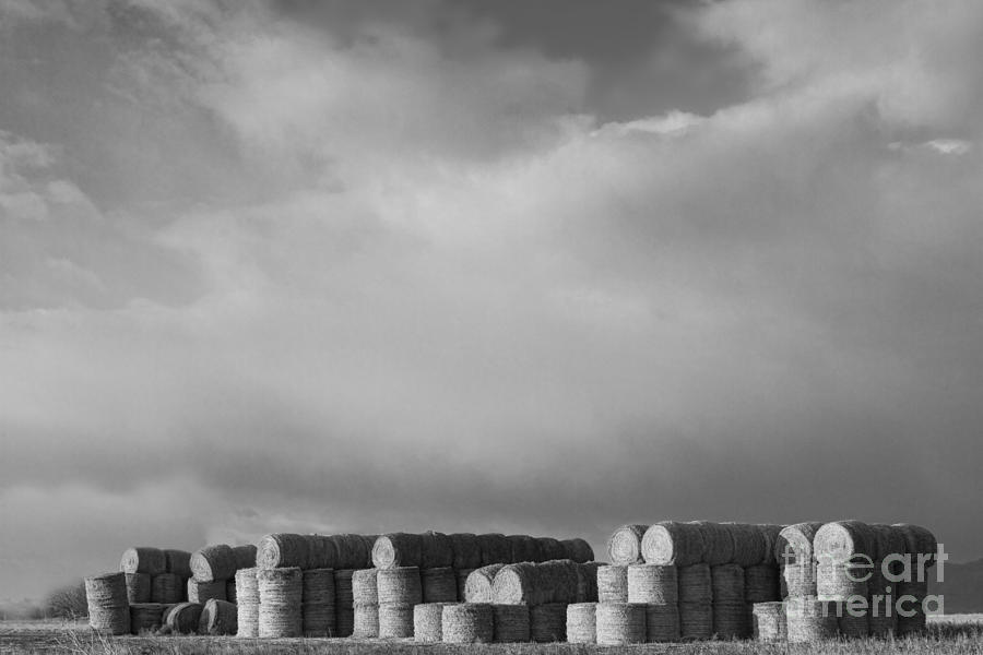 Landscape Photograph - Stacked Round Hay Bales BW by James BO Insogna