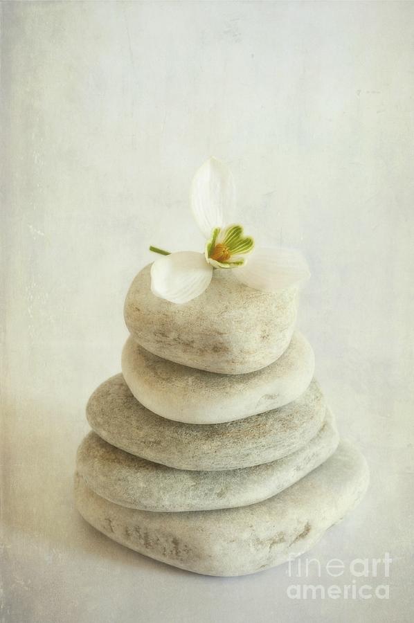Pebbles Photograph - Stacked stones with a snowdrop by Priska Wettstein