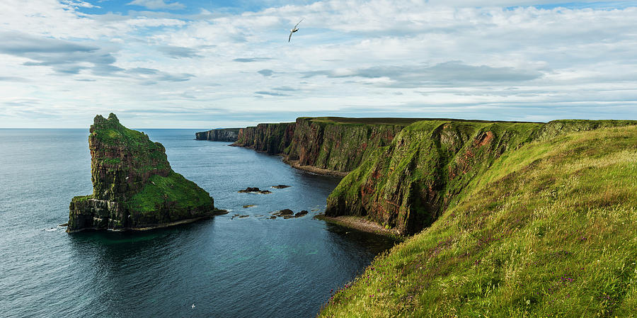 Stacks Of Duncansby And The Rugged Photograph by Keith Levit | Fine Art ...