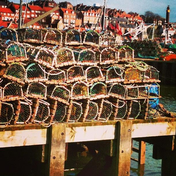 Lobsters Photograph - Stacks Of Lobster Cages #whitby by Peter Edmondson