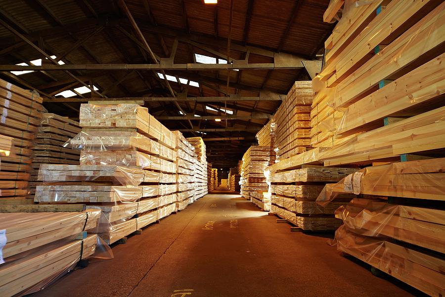 Stacks Of Timber Planks In Large Timber S Photograph by Mark Sykes