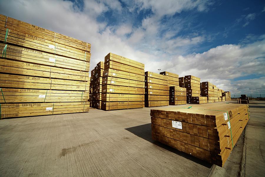 Stacks Of Timber Planks In Timber Yard Photograph by Mark Sykes