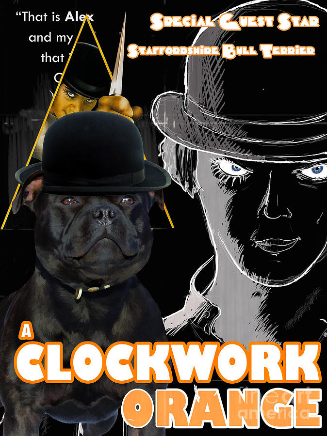 A Clockwork Orange Painting - Staffordshire Bull Terrier Art Canvas Print - A Clockwork Orange Movie Poster by Sandra Sij