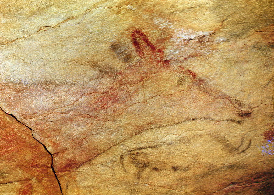Prehistoric Painting - Stag From The Caves Of Altamira  Cave Painting  by Prehistoric