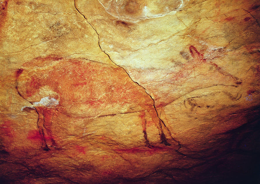 Stag From The Caves Of Altamira, C.15,000 Bc Cave Painting Photograph by Prehistoric