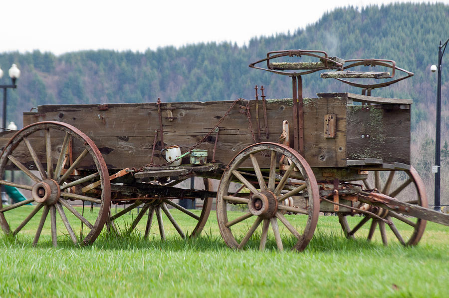 Stage Wagon Photograph by Tikvahs Hope
