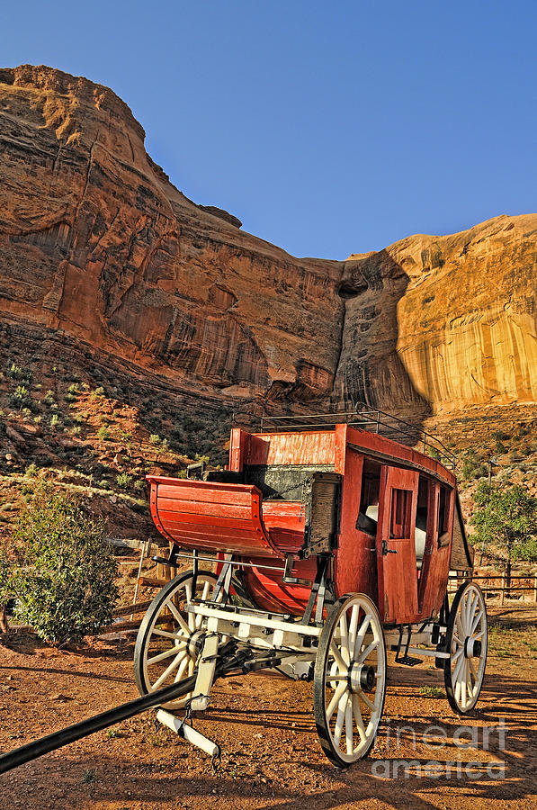 Bison Photograph - Stagecoach by Brenda Kean