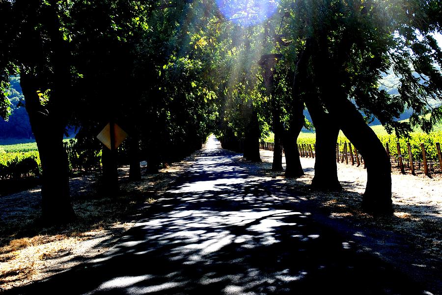 Stags Leap Winery Napa CA Photograph by Ron Bartels Stags Leap Winery Napa CA Photograph by Ron Bartels