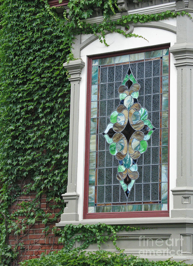 Stained Glass and Ivy Photograph by Ann Horn